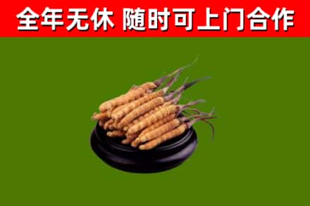 小店烟酒回收冬虫夏草.jpg